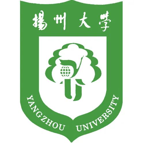2025年扬州大学考研652音乐学基础知识真题解析！（独家）