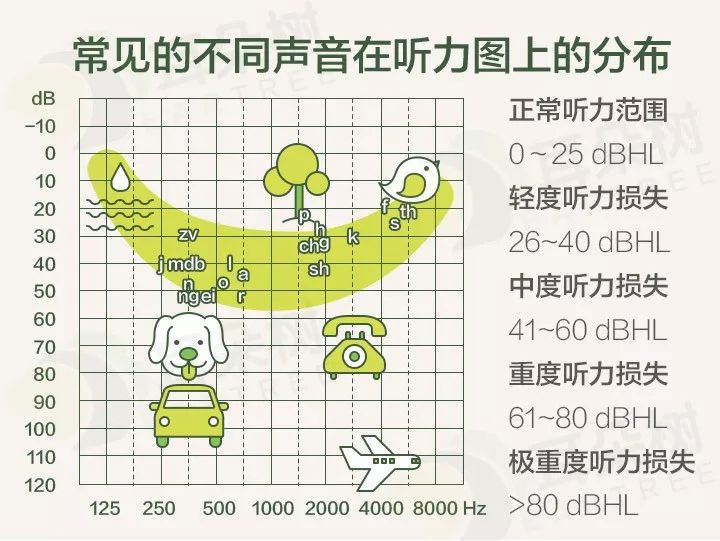 为何能听见狗吠，却不听到蝉鸣？教你判断你能听到哪些声音