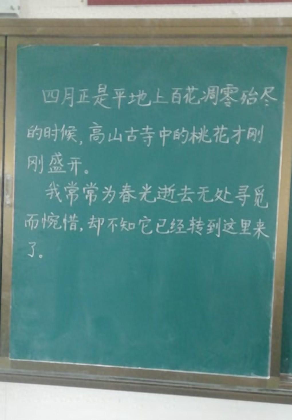 我的教育工作总结