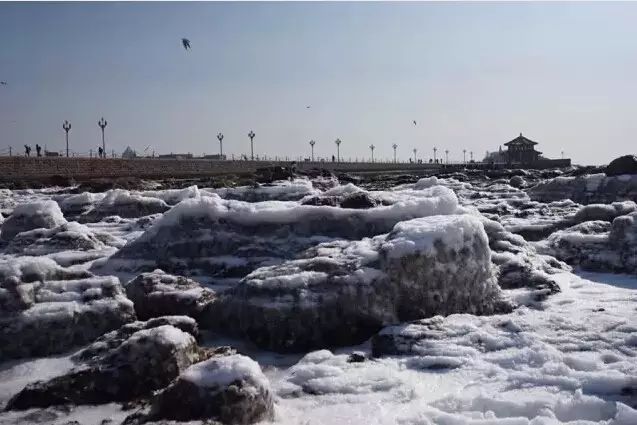 暖！春节期间，青岛最高气温14°C！