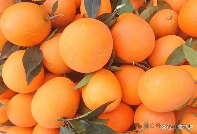 湖北宜昌有哪些特产？宜昌十大特产排行榜