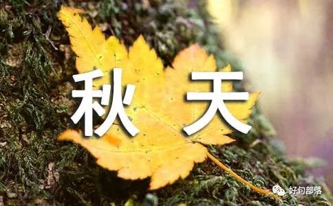 写作素材——描写秋天的唯美句子，生动！