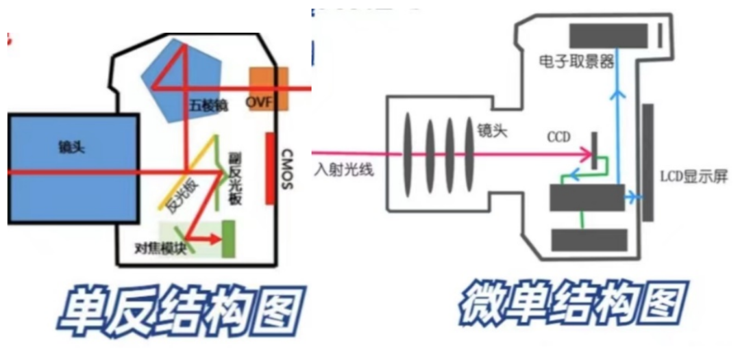 传媒知识铺｜相机入门之基础器材篇