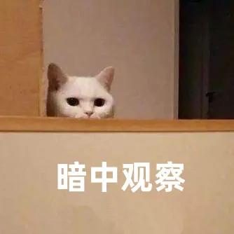怀疑教招面试有黑幕？现场其实是这样的…