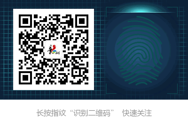 最全的山东野菜攻略，怎么辨别怎么吃全都有，存好不谢！