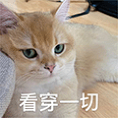 30天直接速成雅思7.0（无废话经验版）