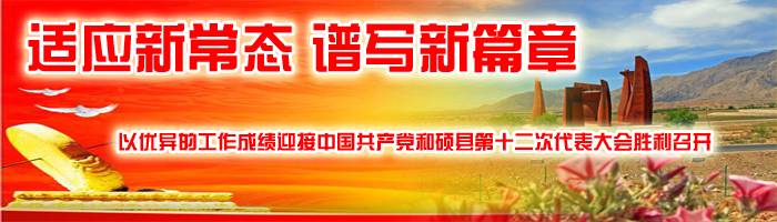 披萨做法大全，在家也能吃到美味！