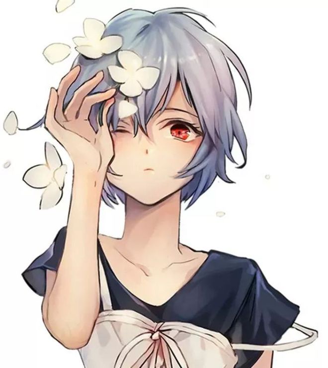 各十二星座最爱哪个动漫女神？