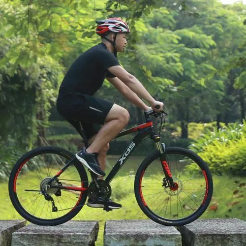 折叠自行车知识小科普