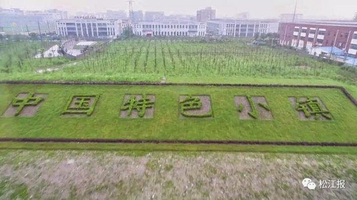 【砥砺奋进的5年】车墩镇：半镇是“老旧上海”，半镇是“明清水乡”