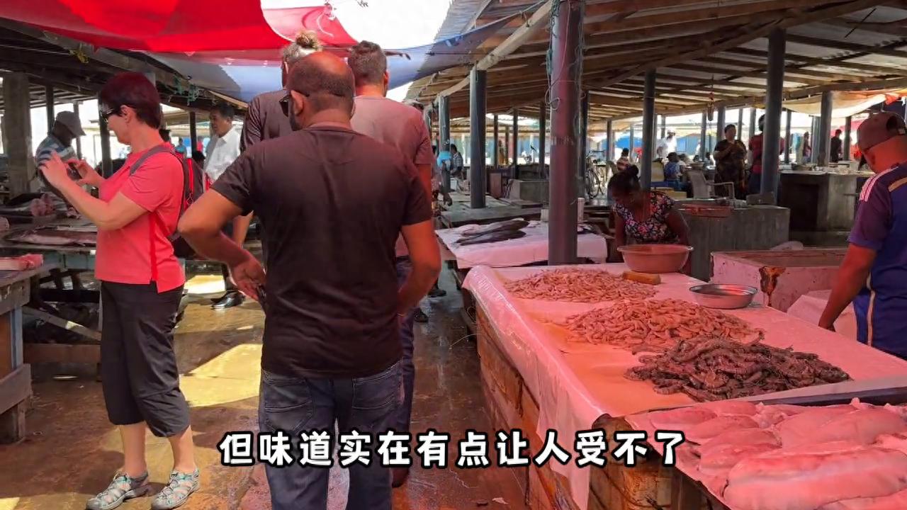 挂火车撸大象，斯里兰卡超详细攻略，跟着玩准没错