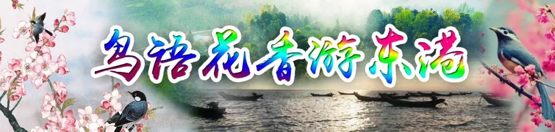【鸟语花香游东港】2021丹东·东港海鲜文化节即将盛大启幕