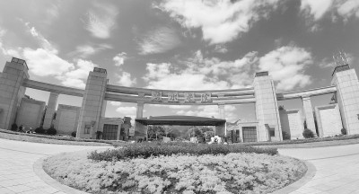 丽水学院教师教育学院：数智赋能“行知行”模式 为山区教育培养高素质教师队伍