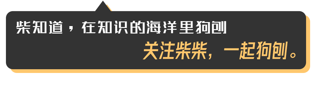 几百块和几万块的自行车有什么区别？贵的自行车贵在哪里？｜图文