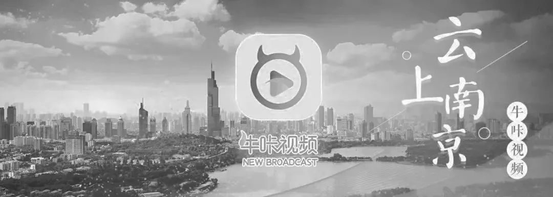 秦淮、栖霞、雨花台区、江北新区、江宁、玄武最新通报！