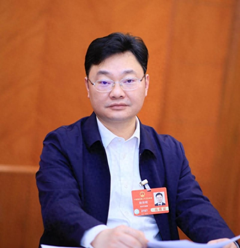 全国人大代表、自贡市副市长陈张铭：打造国家级氟硅新材料“黄金”产业集群 推动老工业城市转型升级