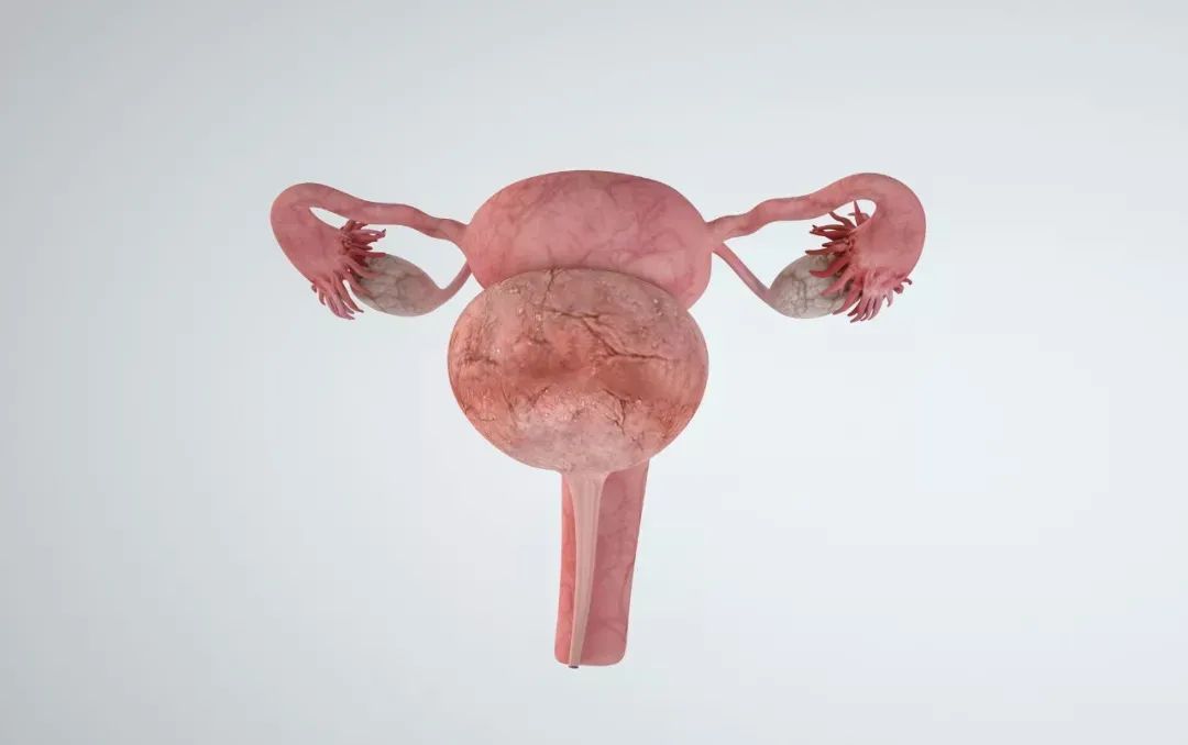 女性绝经的“最佳年龄”公布：不是45或55岁，这个年龄，或许更好！