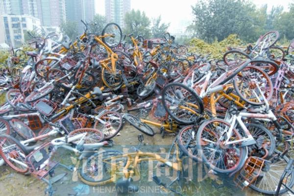 郑州近期将发布指导意见 给共享单车“定规矩”