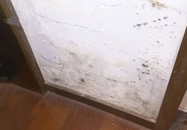 房屋漏水问题如何“解”？