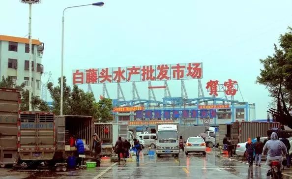 海鲜批发干货连云港店_连云港海鲜干货价格_连云港海鲜干货批发