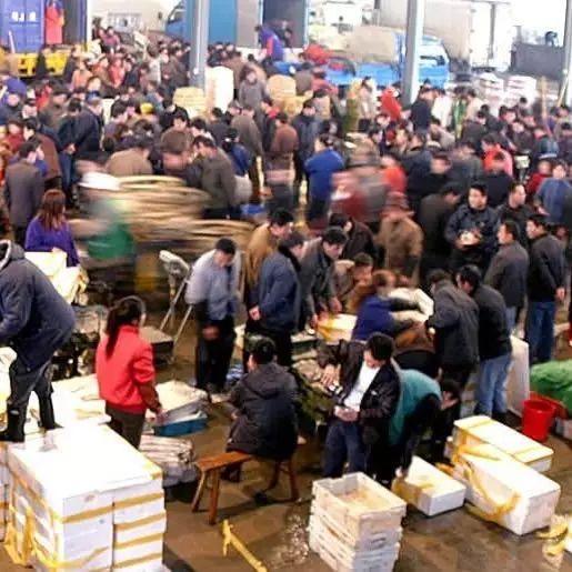 连云港海鲜干货批发_海鲜批发干货连云港店_连云港海鲜干货价格