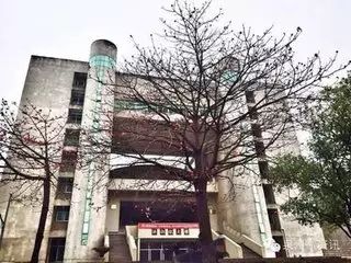 内幕，华侨大学厦门校区建校始末（一）