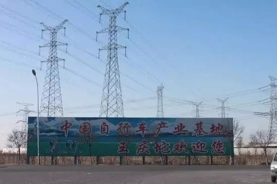 调查｜“自行车第一镇”王庆坨，共享喧嚣之后