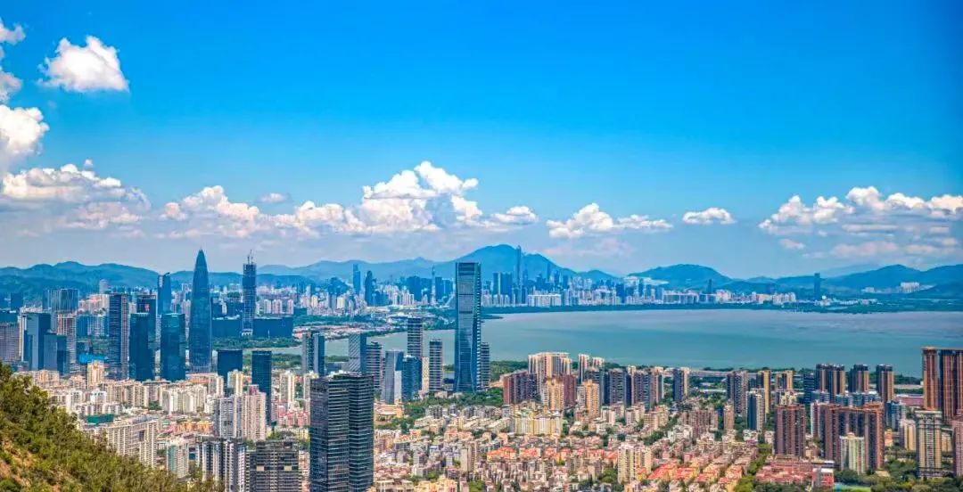 好YOUNG的！第十三届“深圳十大杰出青年”推选活动正式开启，为龙岗候选人点赞！
