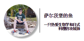要不是实在美味，谁会去吃这些不可描述的食物！