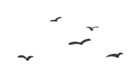 至味学社丨春天在思辨与交锋中拉开序幕