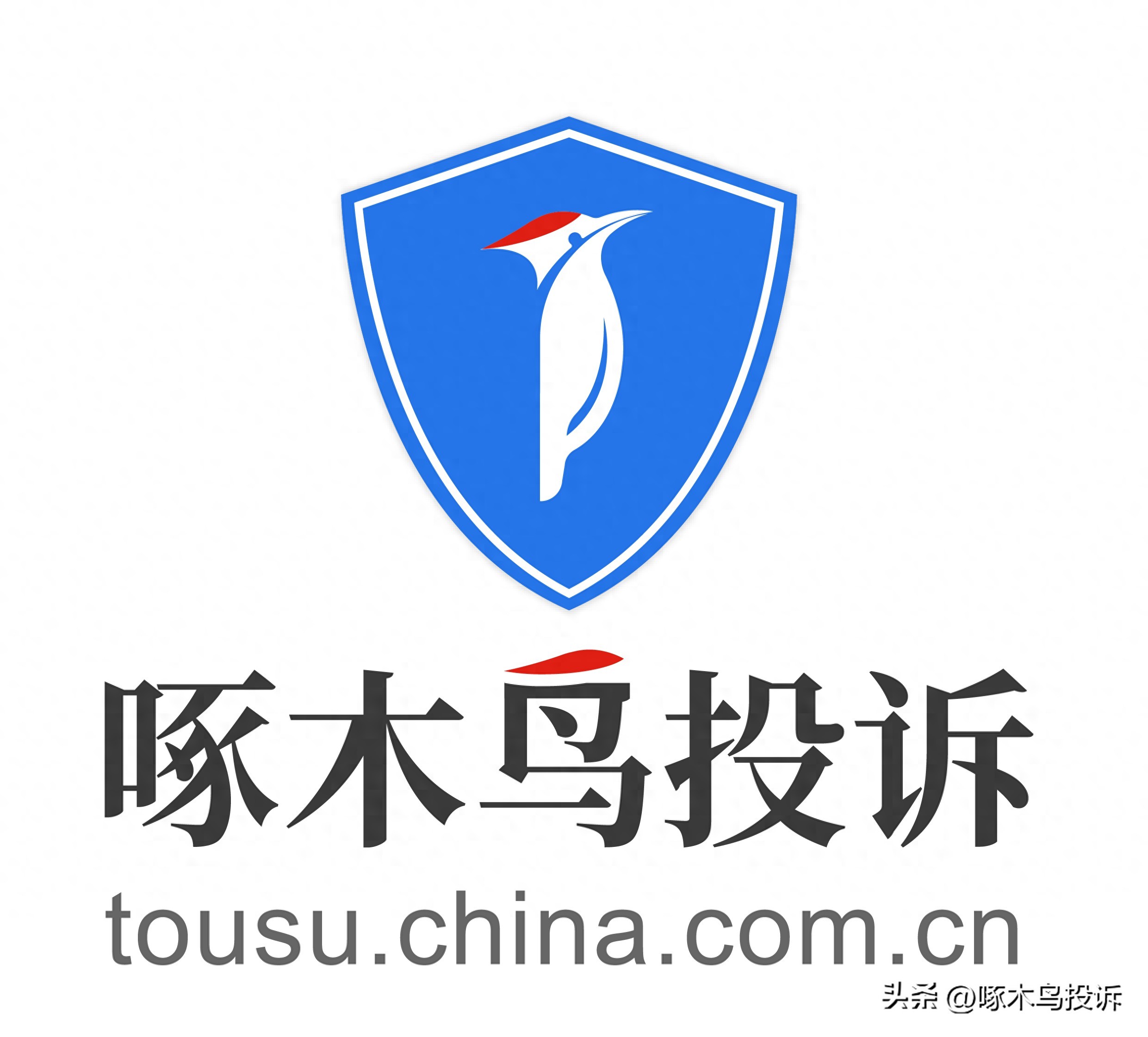 6天游桂林只要600元？老年人出游警惕贪小便宜吃大亏