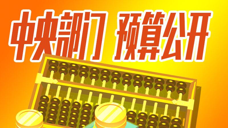 国家医保局2020年预算：信息化建设降16%，三公经费降6成