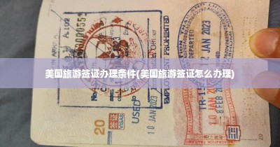 美国旅游签证办理条件(美国旅游签证怎么办理)