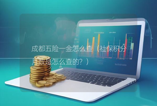 成都五险一金怎么查（社保积分月数是怎么查的？）