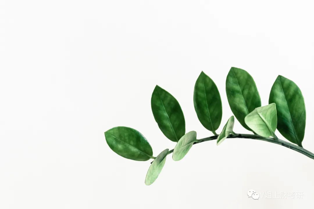 上财那些事儿--校园生活