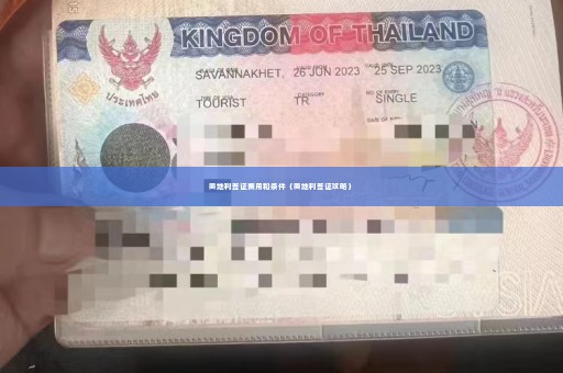奥地利签证费用和条件（奥地利签证攻略）