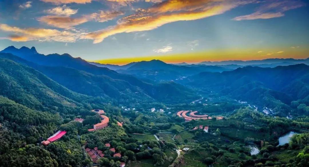 2025雁南飞茶田景区(门票价格、免票政策、游玩攻略)