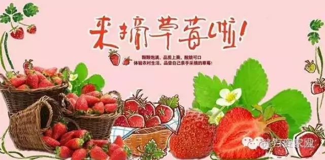 口口流汁，粒粒甜美，百家园观光农业草莓园本周末开园啦！采摘、垂钓、烧烤、餐饮、棋牌……一站式畅玩一整天