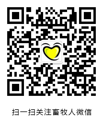 国际油价暴涨背后