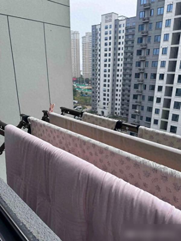 福建这户人家晾衣火了！4个妙招让阳台从乱到美，网友：早该学！