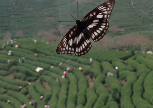 福建旅游