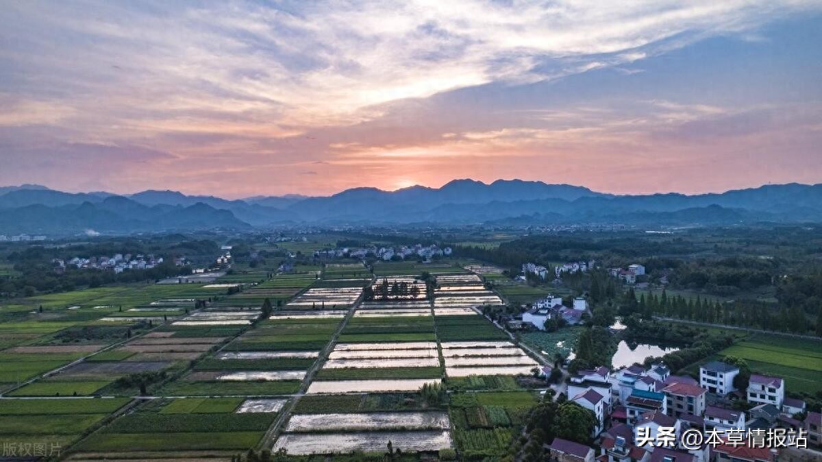 回农村发展什么行业比较好