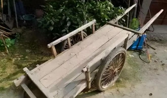 88年我和父亲卖猪，回家时帮陌生大娘拉玉米，三月后媒婆找上了门